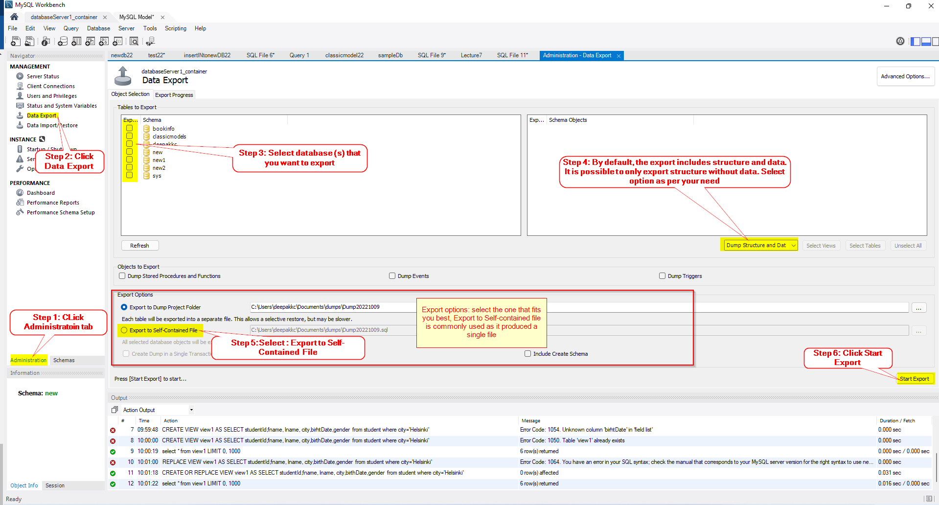 Database Export