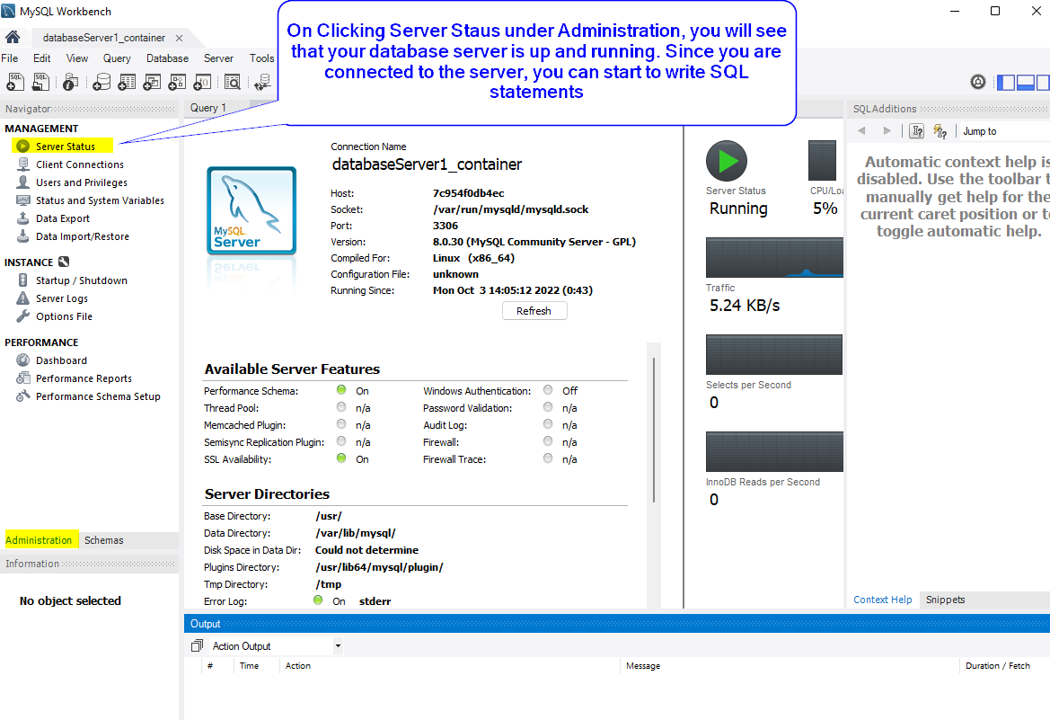 connect to the database server